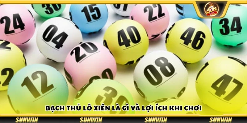 Bạch thủ lô xiên là gì và lợi ích khi chơi