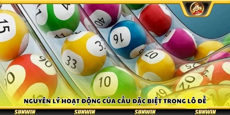 Nguyên lý hoạt động của cầu đặc biệt trong lô đề