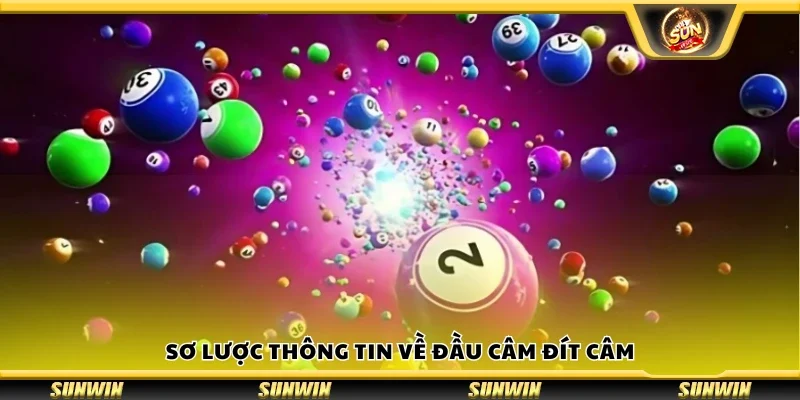 Sơ lược thông tin về đầu câm đít câm