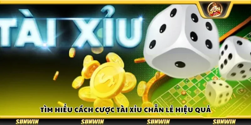 Tìm hiểu cách cược tài xỉu chẵn lẻ hiệu quả