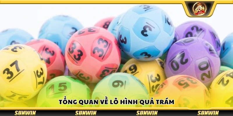 Tổng quan về lô hình quả trám